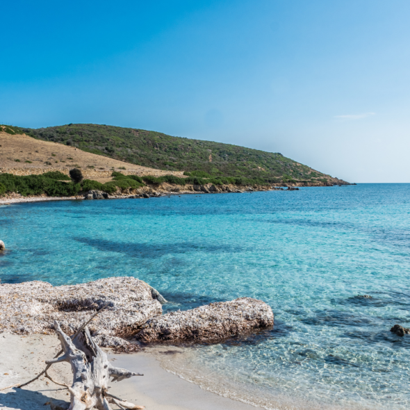 Itinerari Sardegna: L'Asinara