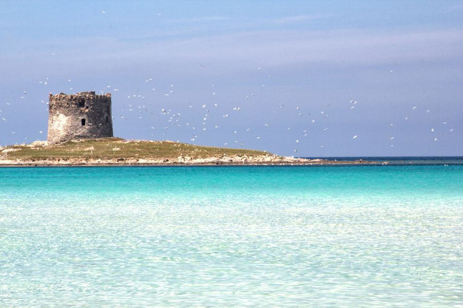 La Pelosa STINTINO Spiaggia (2)
