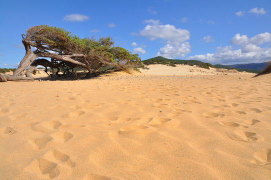 Dune di PIscinas